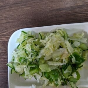 ツナ、キャベツ、ピーマンの温サラダ【和洋食・副菜】
